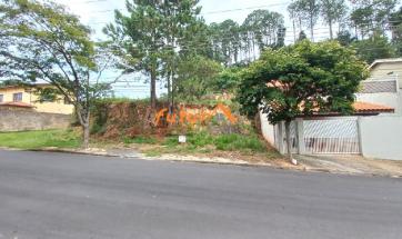 TERRENO EM BAIRRO