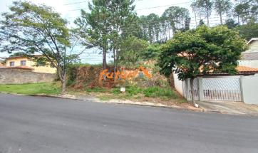 TERRENO EM BAIRRO