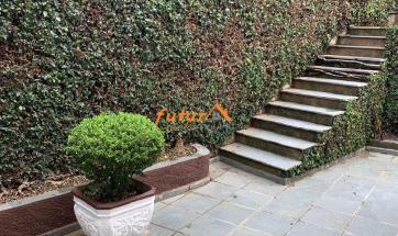 CASA PRÓX. AO CENTRO