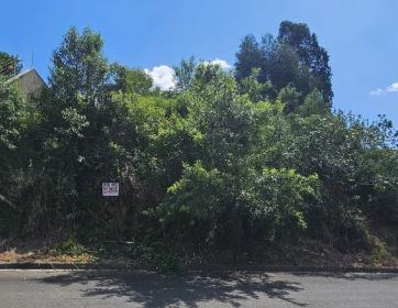 TERRENO PRÓX. CENTRO