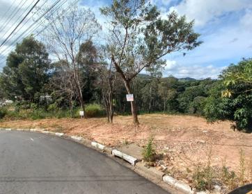 TERRENOS PRÓX. CENTRO